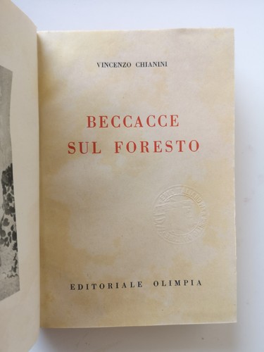 Beccacce sul foresto vincenzo - sul, foresto-vincenzo