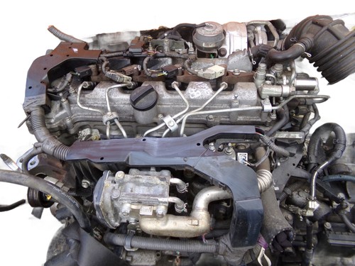 Rav avensis cat anno - avensis,