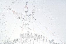 TAMARA FERIOLI - 40x60 cm. -