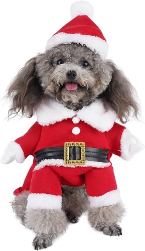 Costume cane taglia media - costume,