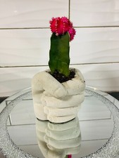 Vaso a pugno manuale in