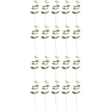  20 Pezzi Foglia di Eucalipto Torta Plugin Foglia Tropicale Inserti per Torte Foglia