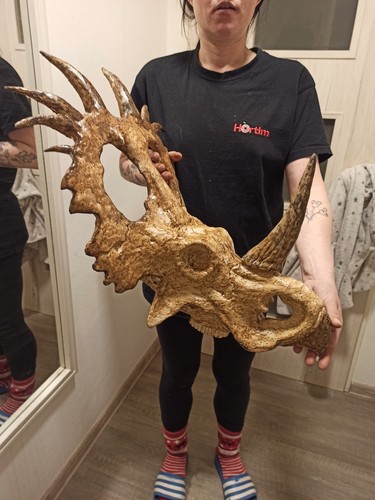Styracosaurus teschio replica