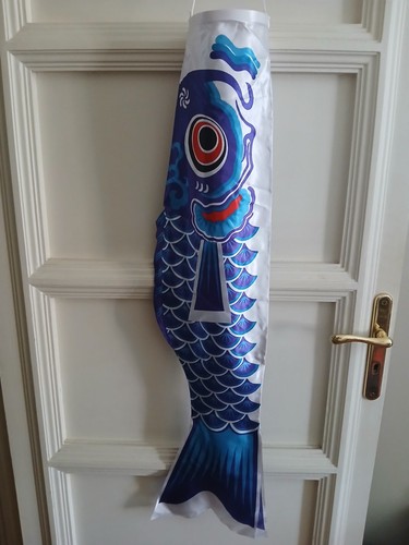 Koinobori manica a - koinobori, 鯉幟