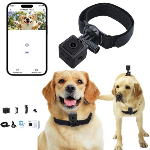 Telecamera per cani - telecamera, 1080p