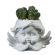  Vasi Piante Interno Vasetti