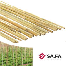 Canna bamboo tutore - tutore, supporto