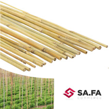 CANNA BAMBOO TUTORE SUPPORTO