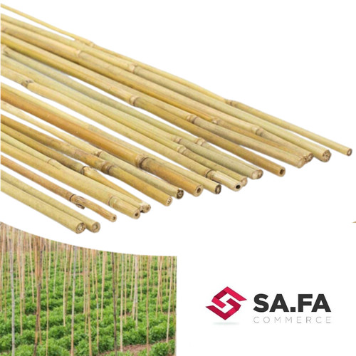 Canna bamboo tutore supporto - tutore,