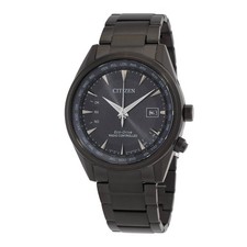 Citizen Perpetual World Time