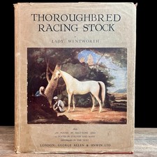 Thoroughbred Racing Stock Lady