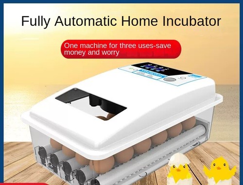 Incubatrice automatica uova - automatica,