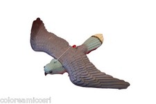 SCACCIA PICCIONI DISSUASORE UCCELLI E VOLATILI FALCO SOSPESO SPAVENTA PASSERI