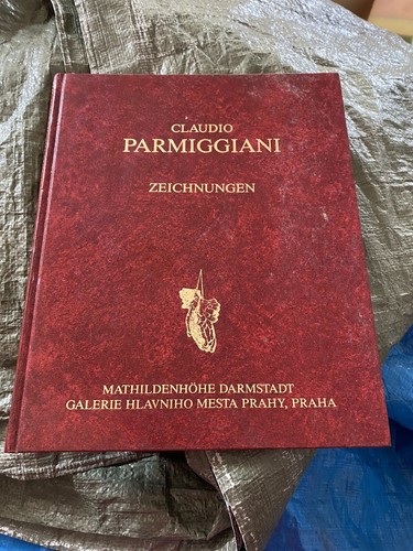 Libro claudio parmiggiani