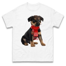German shepherd puppy in a Red