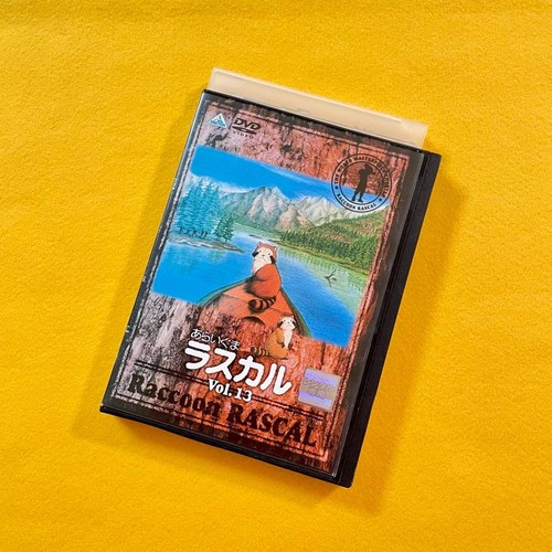 Rascal the raccoon - rascal, dvd