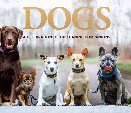 Dogs celebration of our - a,