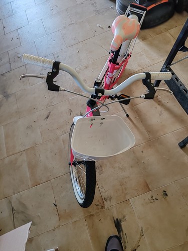 Bici olanda 204r - bici,
