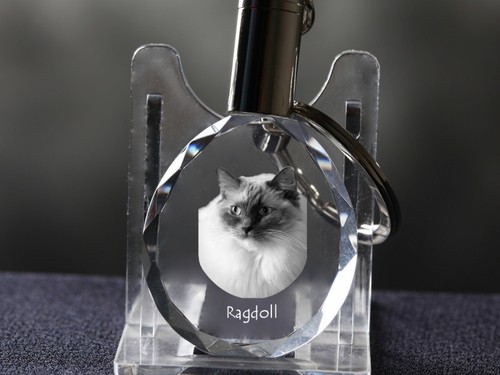 Ragdoll gatto portachiavi - ragdoll,