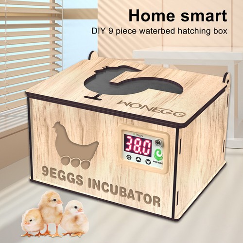 Incubatrice per uova
