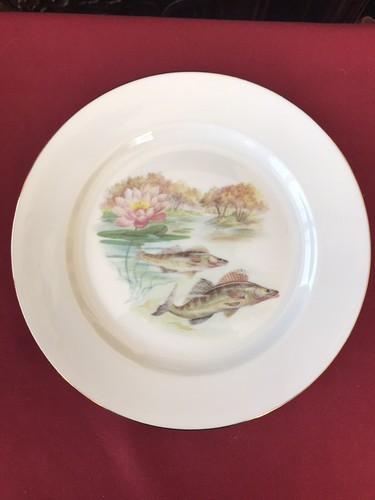 Piatto porcellana limoges - piatto,