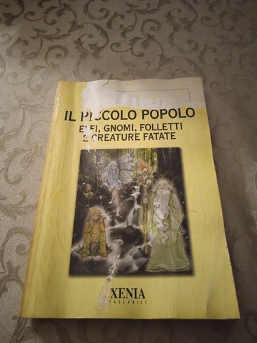 Piccolo popolo elfi - il,