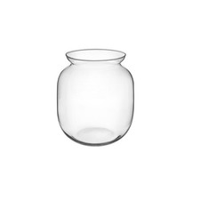 Terrario Bottle Garden Vaso