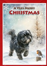 Biglietto di Natale Shih Tzu