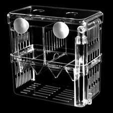 1 PCS Sala Parto Acquario