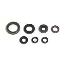Kit guarnizioni olio motore