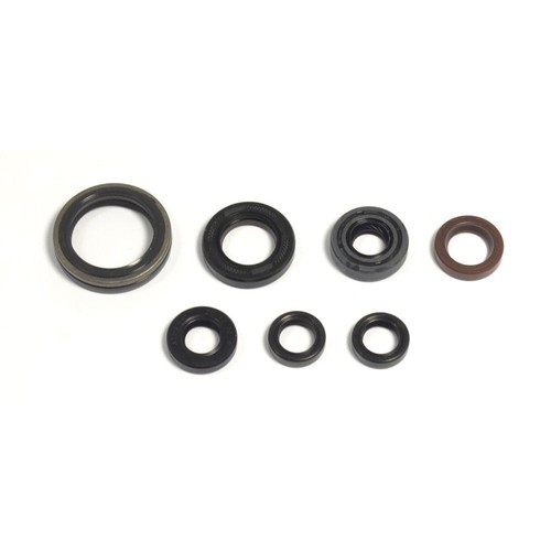 Kit guarnizioni olio motore