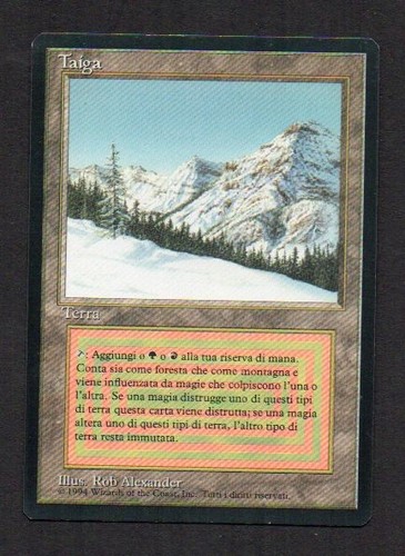 Mtg taiga foreign - mtg,