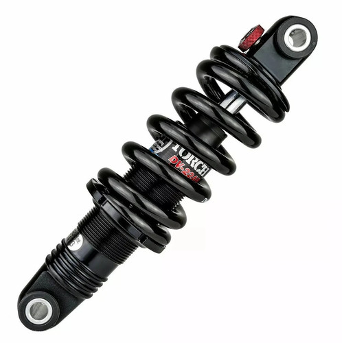 Dnm dv22ar mountain bike - mountain,