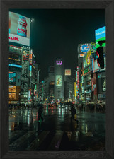 Shibuya Crossing no testo