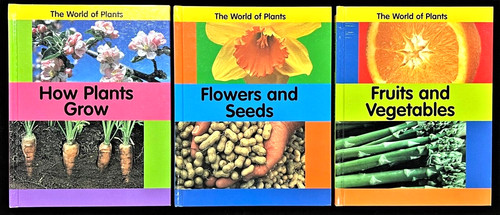 1st 3rd grades the world - grades,