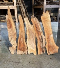 Tavole di legno di Ulivo 5