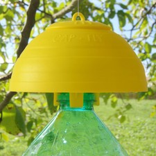 Cap Fly Trappola bottiglia