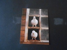 FIGURINA IL GRANDE ALBUM DEGLI