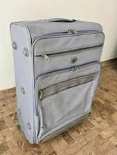 Trolley Roncato grigio grande