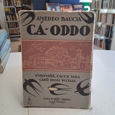 Cà-Oddo, Amedeo Baucia, Ed