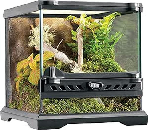 Micro terrario vetro con - micro,