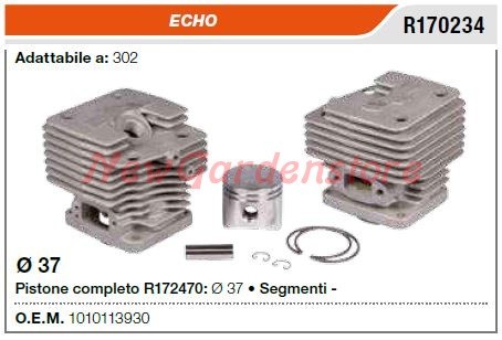 Cilindro pistone segmenti echo - pistone,