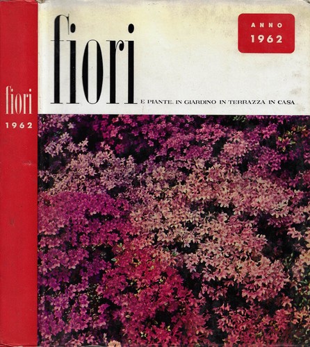 Fiori piante in giardino - e, piante: