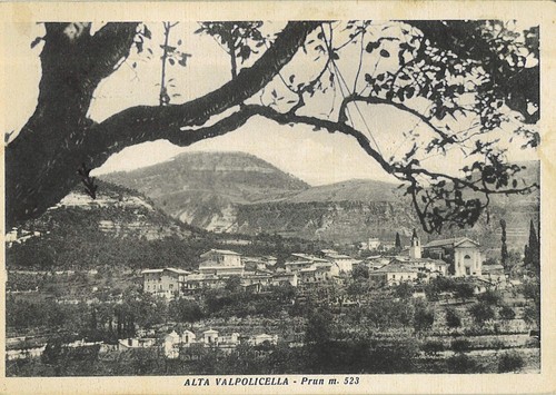Cartolina ill prun alta - prun,