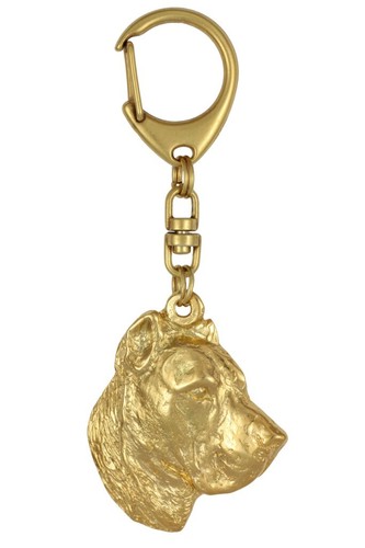 Presa canario cane delle - canario,,