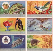 FIGURINE LIEBIG SERIE COMPLETA