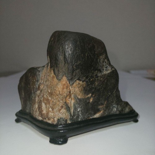 Bonsai suiseki bonseki - di,