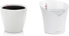 Set Completo Vaso Classico