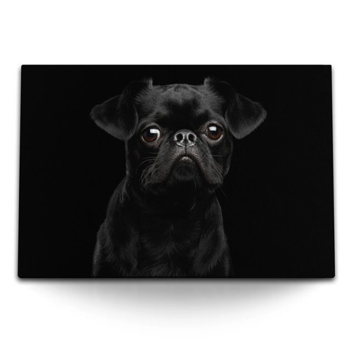 Quadro tela 120x80 cm - 120x80,
