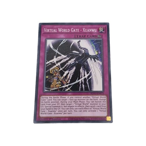 Virtual world gate - virtual,